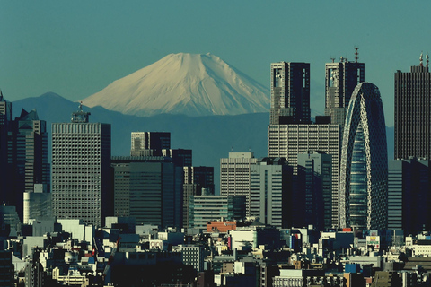 Tokyo : Excursion privée d&#039;une journée au Mont Fuji et à Hakone