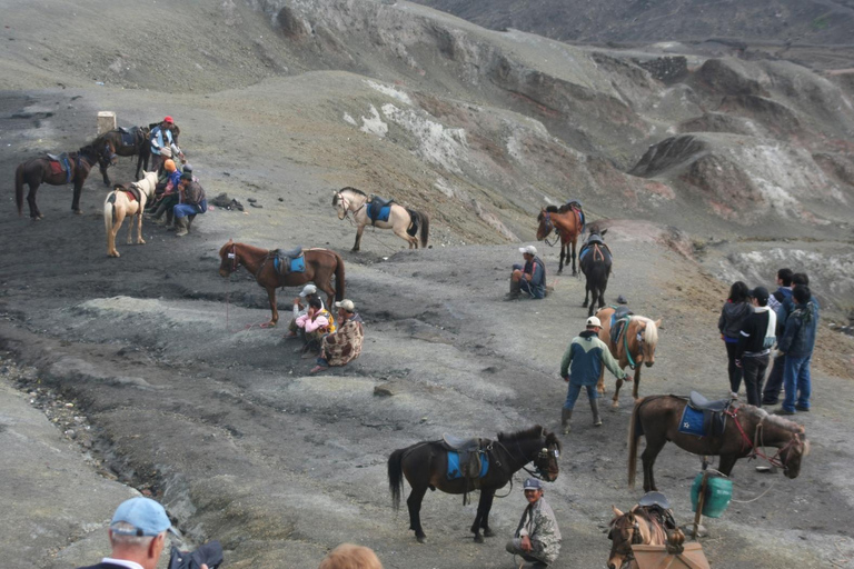 Entdecke den Mount Bromo und den Ijen-Krater in 3 Tagen von Bali aus