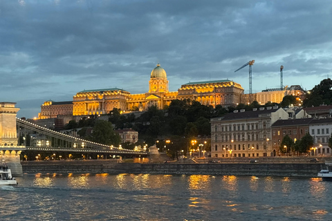 Budapest: Danube Cruise with panorama veview