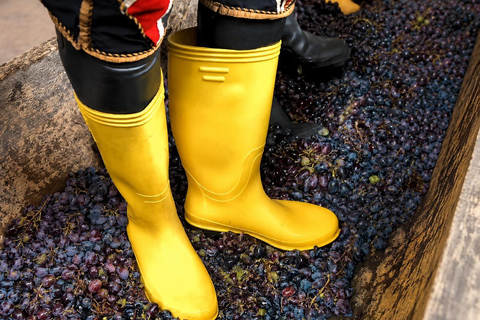 Adjara: Vineyard Tour with Wine Tasting and Lunch