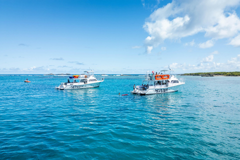 Fajardo: Crucero de snorkel por Cayo Icacos con tobogán y almuerzo