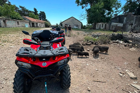 Kotor: visit fort Gorazda and Goran's Farm with ATV quad
