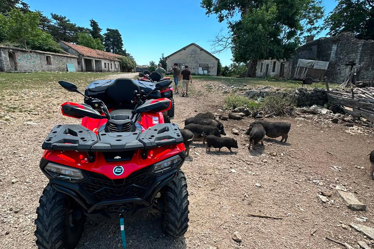Kotor: visit fort Gorazda and Goran's Farm with ATV quad