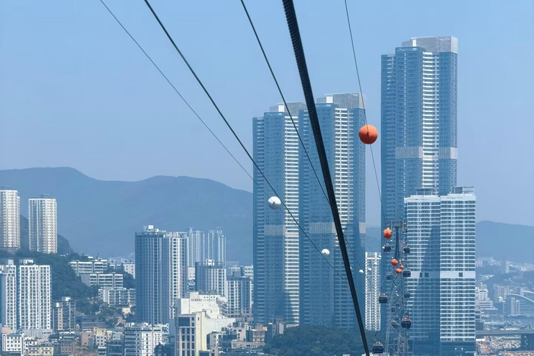 Busan: Small-Group Tour with Cable Car & Busan Tower Entry