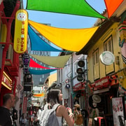 Private Customized Singapore Walking Tour