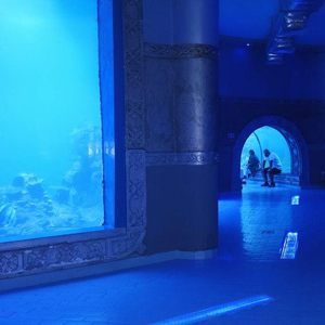 Entry Ticket: Grand Aquarium Hurgada