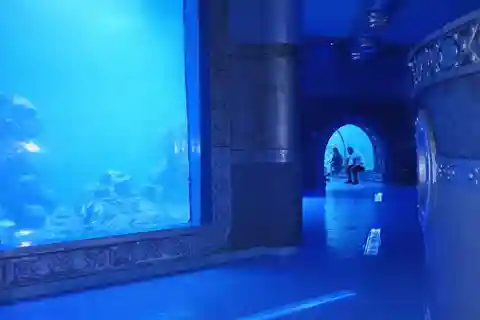 Biglietto d'ingresso: Grande Acquario Hurgada