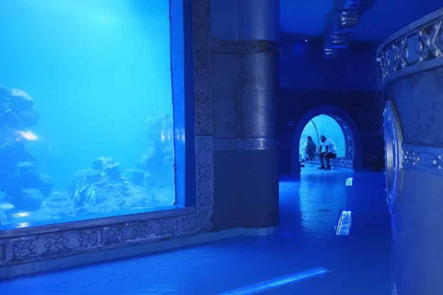 Eintrittskarte: Großes Aquarium Hurgada. Foto: GetYourGuide
