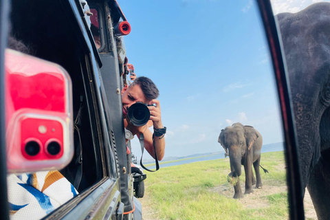 Minneriya National Park: Elephant Watching Safari with Guide Minneriya National Park: Sunrise Elephant Safari with Guide