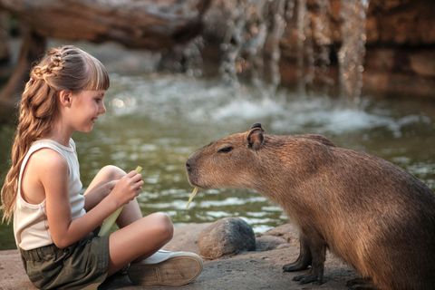 Bali Zoo: Capybara Brunch & Observation Experience Capybara Brunch Experience with Transfer