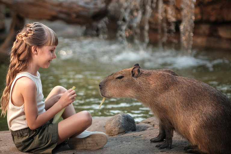 Bali Zoo: Capybara Brunch & Observation Experience Capybara Brunch Experience with Transfer