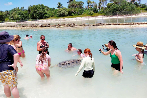 Port Vila: Private Customizable Tour with Driver