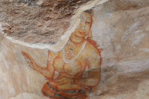 From Sigiriya: Sigiriya and Dambulla Day Tour Tour with mini van