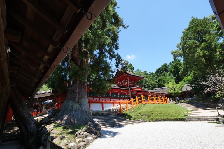 Nara: Tour a pie de medio día por el Patrimonio de la UNESCO y la Cultura LocalNara: Visita a pie de medio día por el Patrimonio de la UNESCO y la Cultura Local