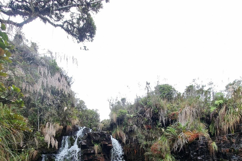 Le páramo, source d&#039;eau et gardien de la vie - RandonnéePáramo, source d&#039;eau et gardien de la vie - Randonnée