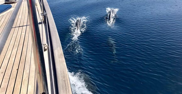 Alicante: Sail the Only Classic Yacht with Hands-On Sailing