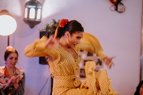 Córdoba : Tablao Flamenco Doble de CepaBiglietto Spettacolo e bevande