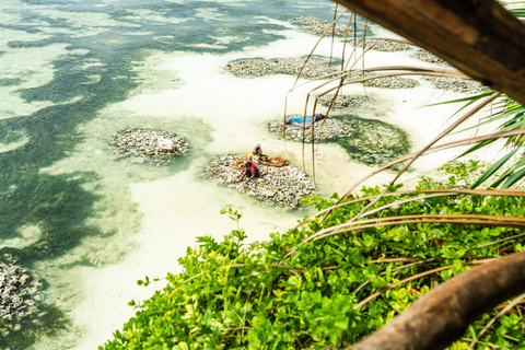 Zanzibar: Secret Beach, Kuza Cave e Jozani con trasferimentoSpiaggia Segreta, Grotta di Kuza e foresta di Jozani con trasferimento