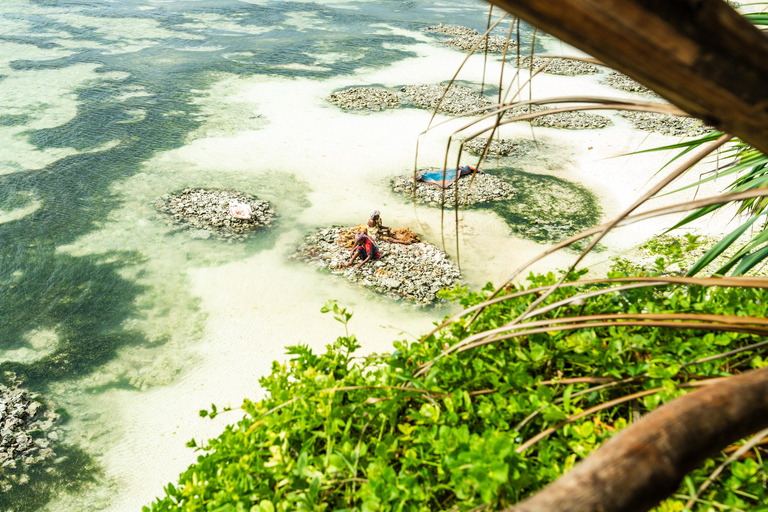 Secret Beach, Kuza-Höhle und Jozani-Wald mit Transfer