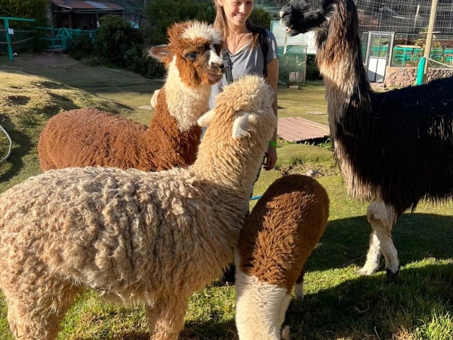 Cusco: Sanctuary of Animals rescued "Cochahuasi "