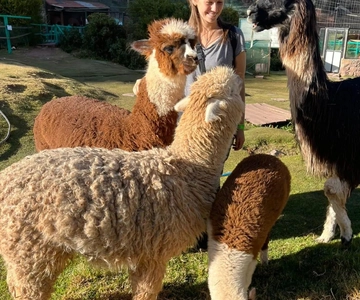 Cusco: Cochahuasi Animal Sanctuary Tour mit geretteten Tieren