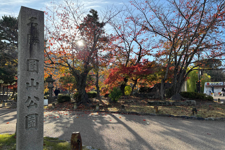 Kyoto: Higashiyama Premium E-Bike Tour with guide