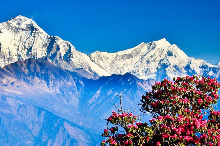 Annapurna Basecamp - luksusowy trekking