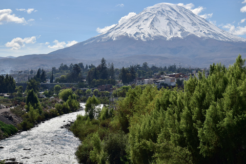 From Arequipa: Colca Canyon and Andean Wildlife Day Trip