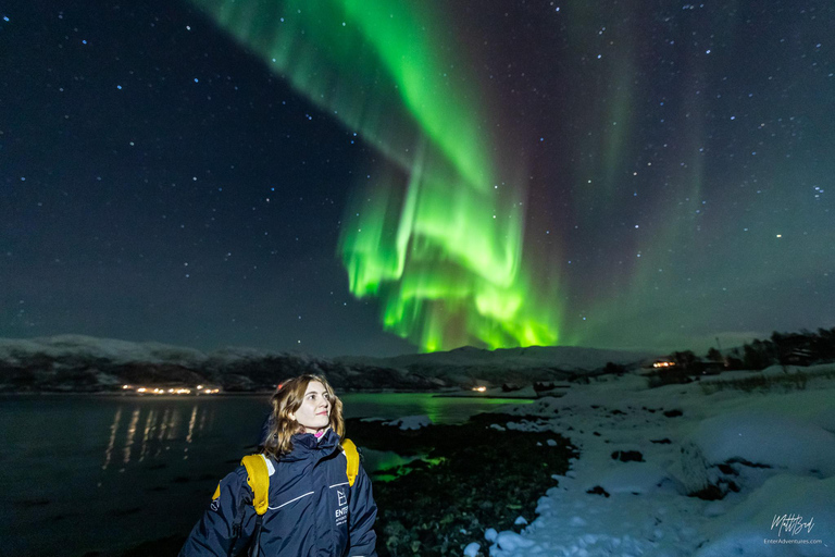 Desde Tromsø: Persecución de auroras boreales con fotos y cena