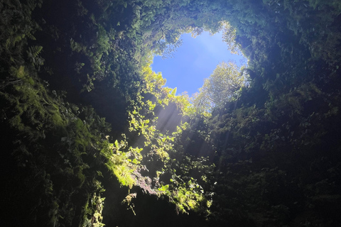Terceira: Volcanic Cave Tour with Guide Terceira: Private Volcanic Cave Tour with Guide