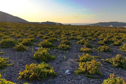 Santorini: excursão privativa de 5 horas para degustação de vinhosSantorini: Tour particular de 5 horas ao pôr do sol com vinho