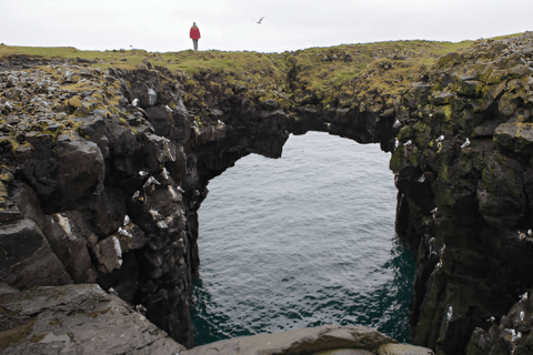 Reykjavik: avontuurlijke tour in kleine groep naar het schiereiland SnaefellsnesReykjavik: avontuurlijke tour in een kleine groep naar het schiereiland Snaefellsnes
