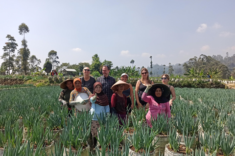 Vulcano, sorgenti calde, bagni di fango e tour del tè: tutto inclusoGiro aperto