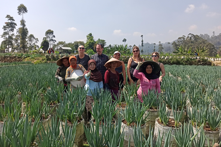 Vulcano, sorgenti calde, bagni di fango e tour del tè: tutto inclusoGiro aperto