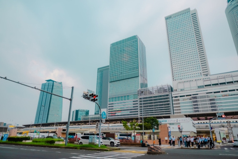 Nagoya: Private Customizable Shopping Tour with Guide Nagoya: 4Hour Private Customizable Shopping Tour with Guide