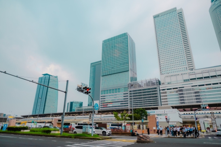 Nagoya: Private Customizable Shopping Tour with Guide Nagoya: 4Hour Private Customizable Shopping Tour with Guide