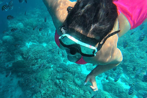 Mactan: Island Hopping Adventure with Snorkeling Mactan: Island Hopping Adventure with Snorkeling Group Tour