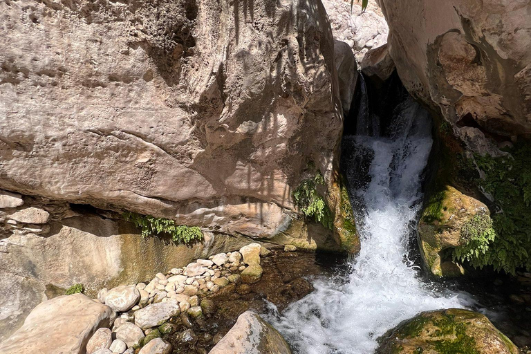 Mascate : coucher de soleil dans le désert et visite d&#039;une journée du Wadi Bnai Khalid + déjeuner