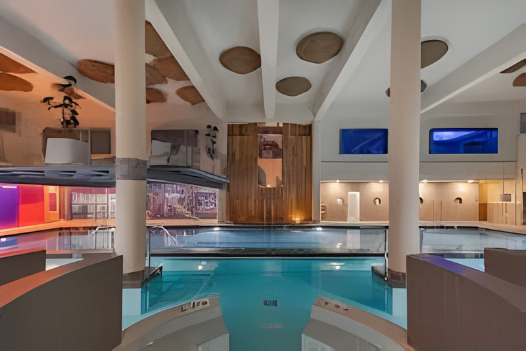 من مالقة: منتجع هيغيرون الصحي وتناول الطعام الفاخر - سيارة تيسلا X الفاخرة