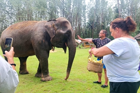 Półdniowa interakcja ze słoniem Khaolak