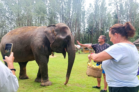 Khao Lak: Tour guiado pelo santuário de elefantesKhao Lak: excursão guiada de meio dia ao santuário de elefantes