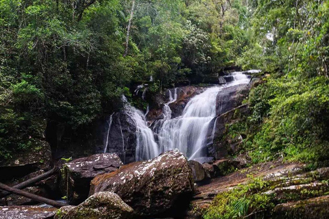 Sinharaja-Regenwald (UNESCO) &amp; Öko-Tour (3 Tage) mit HotelSinharaja-Regenwald (UNESCO) &amp; Öko-Tour (3 Tage) mit Hotel