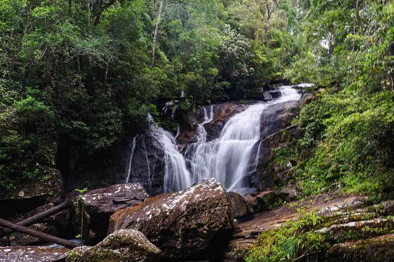 Sinharaja-Regenwald (UNESCO) &amp; Öko-Tour (3 Tage) mit HotelSinharaja-Regenwald (UNESCO) &amp; Öko-Tour (3 Tage) mit Hotel