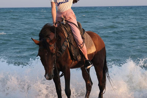 Antalya : équitation en bord de mer et dans la forêtAntalya : Balade à cheval en bord de mer et en forêt