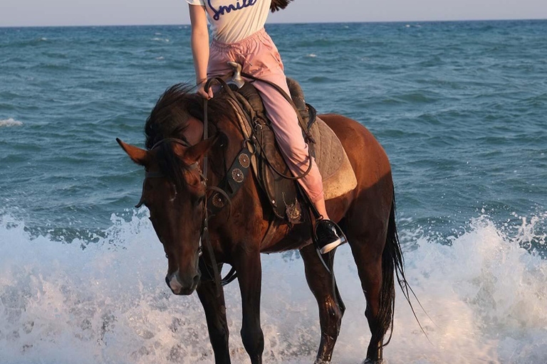 Antalya : équitation en bord de mer et dans la forêtAntalya : Balade à cheval en bord de mer et en forêt