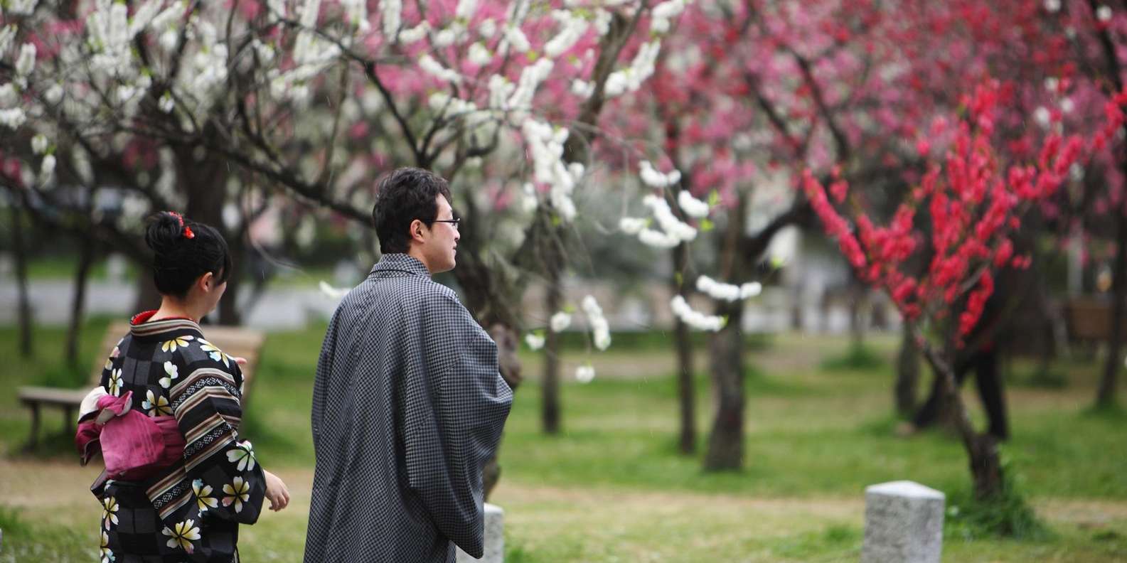 Kyoto experience — temples, geisha, bamboo grove — image 1