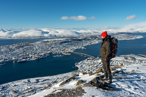 Tromsø: Fjellheisen Cable Car Ticket