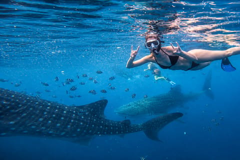 Cebu: Oslob Whale Shark, Tumalog & Simala Tour + Free GoPro - Image 2