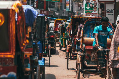 Delhi: New & Old Delhi Private Half or Full-Day Tour Delhi: Full Day tour with Car + Guide + Monument Fee Inc.