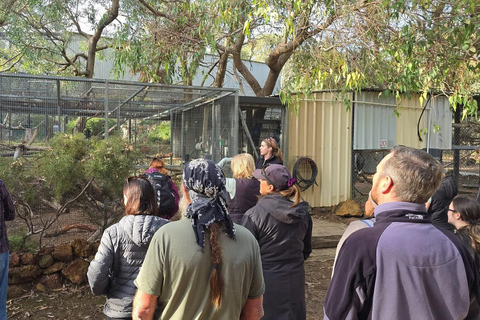 Perth: Kaarakin Black Cockatoo Conservation Tour & Hike